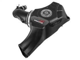 Momentum GT Pro DRY S Air Intake System 50-70050D